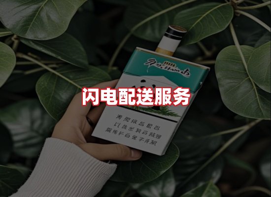 专业团队